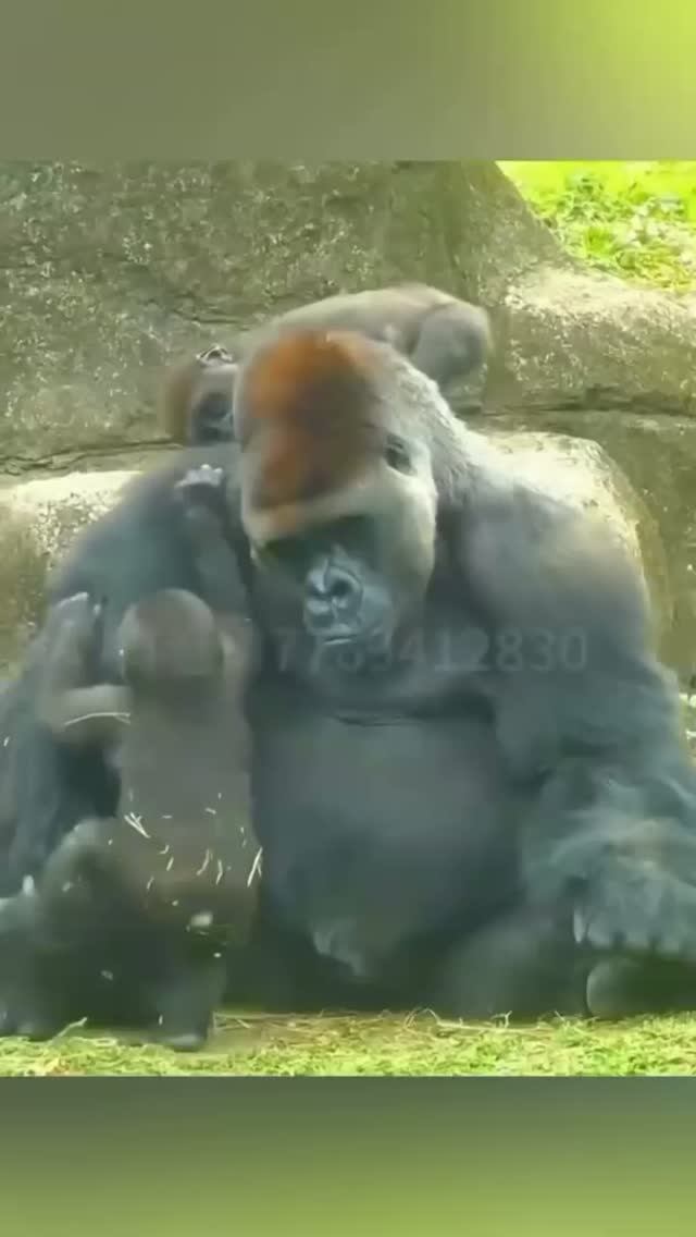 )))) смотреть онлайн
