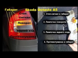 Замена лампочек Skoda Octavia A5 в заднем фонаре.