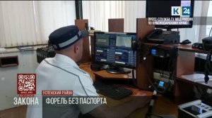 На стороне закона. 18.06.2026
