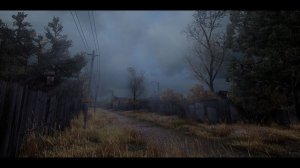 Cтрим по  ДЗО 0.2 STALKER || СТРИМ