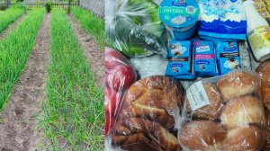 Прокатимся по городу,покупки ,сходила в больницу.