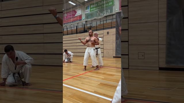 Санчин ката. Sanchin kata.