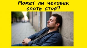 Может ли человек спать стоят ? Нейросеть отвечает...