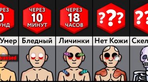 Что Происходит С Телом После Смерти