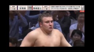 Аониськи востановился после травмы Разбор Сумо (Aonishiki has recovered from his injury. Analysis