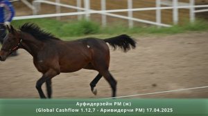 Ауфидерзейн РМ (ж) (Global Cashflow 1.12,7 – Аривидерчи РМ) 17.04.2025