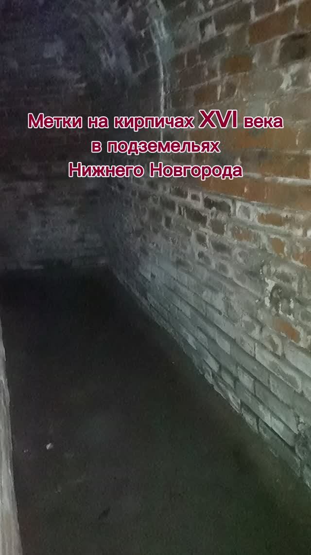 Следы животных и метки мастеров на кирпичах XVI века