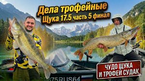 Щука 17.5кг. Часть 5 Финальное видео. Три дня рыбалки на монстров.