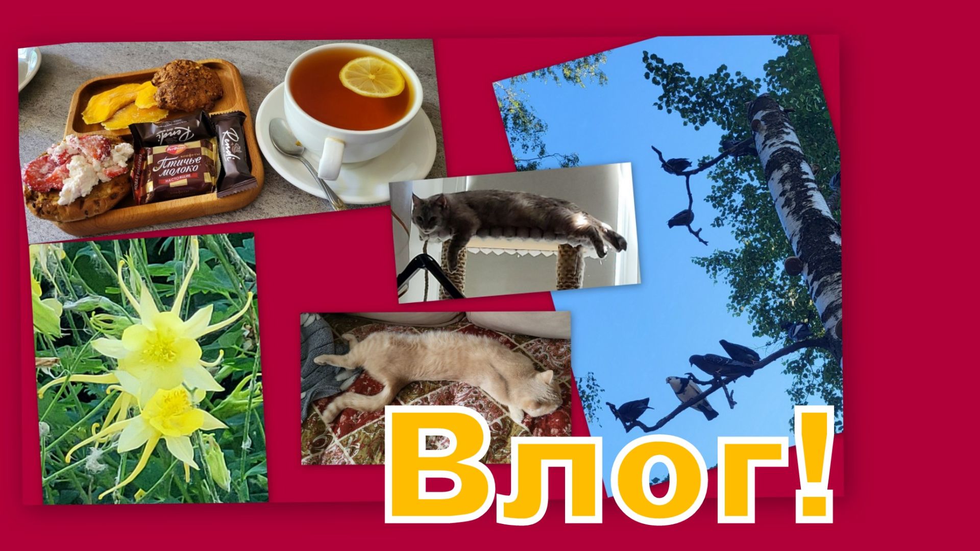 ВЛОГ: ЛЕТНИЕ ДЕНЕЧКИ! ХОДИМ В ГОСТИ, ГУЛЯЕМ, ОТДЫХАЕМ И ОБНОВЛЯЕМСЯ!!! смотреть онлайн