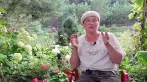 Отвечаем на вопросы о голубике