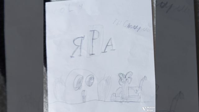 ты старый - жука не бей !