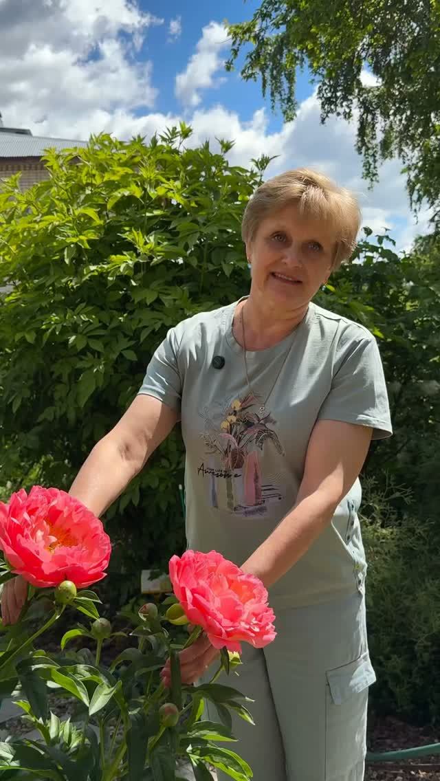 Рассказ о Пионах