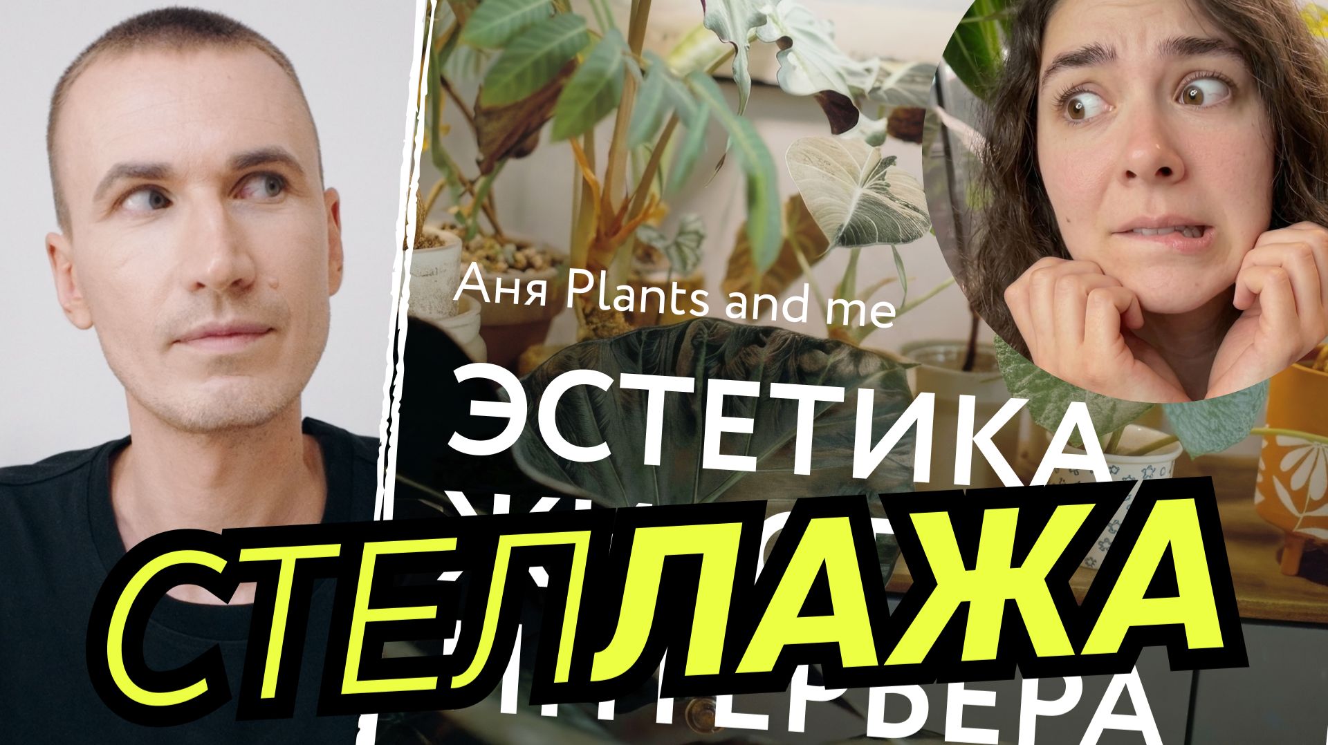 ПОЛКА — НЕ ИНТЕРЬЕР | Разбор книги «Эстетика живого интерьера» | Книжный сорняк N°6