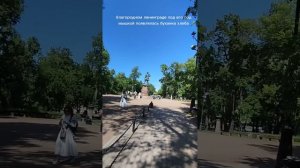 влог  кронштата