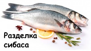 Разделка сибаса