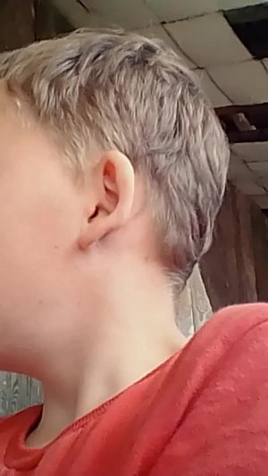 Оки