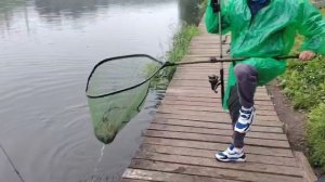 Очередная поимка Карпа