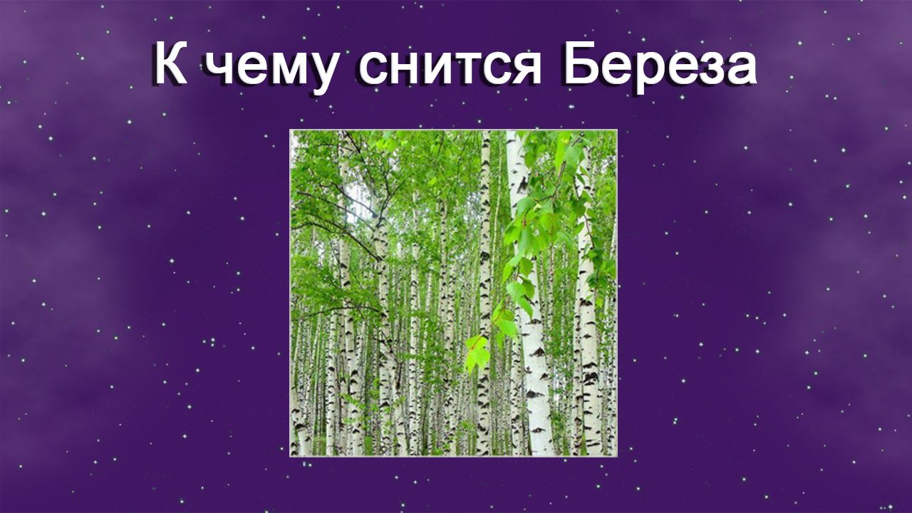 К чему снится Береза - толкование сна