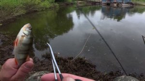 Воспользовались моментом и сделали вызов! на нано мормо батл, битва просто в ЩИ