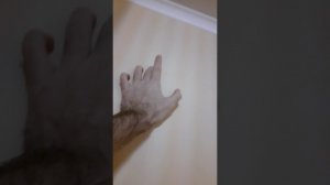 Что нужно использовать, чтобы потолочные плинтуса не отклеивались? Отвечает на вопрос монтажник