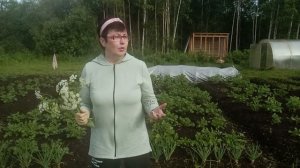 песня о Вологде