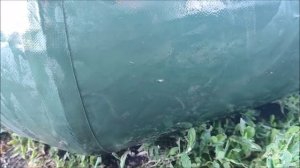 Шашлык и лодка , г. Воронеж, мкр. Шилово, Шиловский  котлован 17.06.2026 года