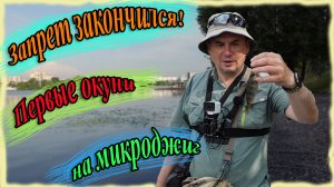 Запрет закончился! Первые окуни на микроджиг