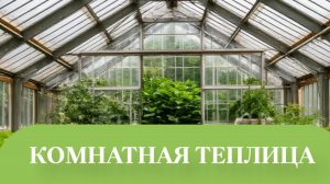 ГОТОВИМ ЭКСПЕРЕМЕНТ К ЗИМЕ ПОМИДОР И ОГУРЦЫ