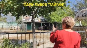 Крым в сердце моём ❤️ На электромобиле по парку Львов Тайган 🧸 Нефритовый бык стоимостью 2,5 млн 💲