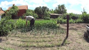 ВОСКРЕСЕНЬЕ С ТЯПКОЙ В ОГОРОДЕ!!РУЧНОЙ ВОРОБЕЙ! ЦЕДИМ СОКРОВИЩА НА АВИТО!