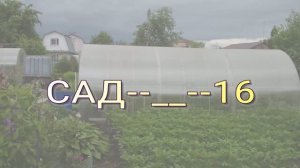 САД---16