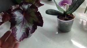 Пальцы сами набрали БРОНЬ. У меня неожиданно новенький☺