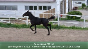Арчибальд РМ (ж) (Brooklyn Hill 1.52,6 – Английская Королева РМ 2.01,2) 26.03.20