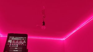 Addressable LED strip Ws2812b and WLED