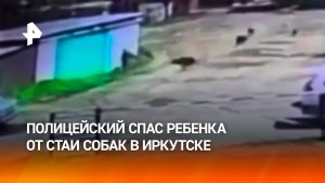 Полицейский спас ребенка от стаи собак в Иркутске