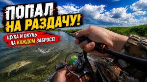 ПРУД ЗАБИТ ЩУКОЙ И ОКУНЕМ! КАЖДЫЙ ЗАБРОС ПРИНОСИЛ РЫБУ Рыбалка на спиннинг 2026