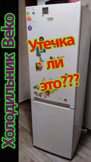 Холодильник Beko. Сказали год уже плохо холодит! Утечка???