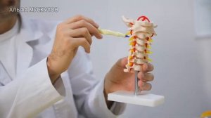 КАРДИОЛОГ РАСКРЫВАЕТ Если вам больше 60 лет эти 3 упражнения эффективнее ходьбы Выполняйте их дома