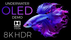Подводный мир Демонстрация OLED HDR 8K Ultra HD Dolby Vision™ 60 кадров в секунду