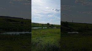 маленький  рассказ  о  пруде  аэродромном номер 2