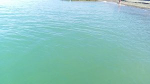 пришли к морю в Сочи