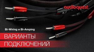 Bi-Wiring и Bi-Amping | Типы кабельного подключения - разбираем основные отличия