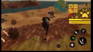 Играю в Savannah Life