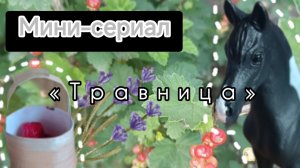 Мини-сериал || Травница ||(лошади шляйх) #лошдишляйх