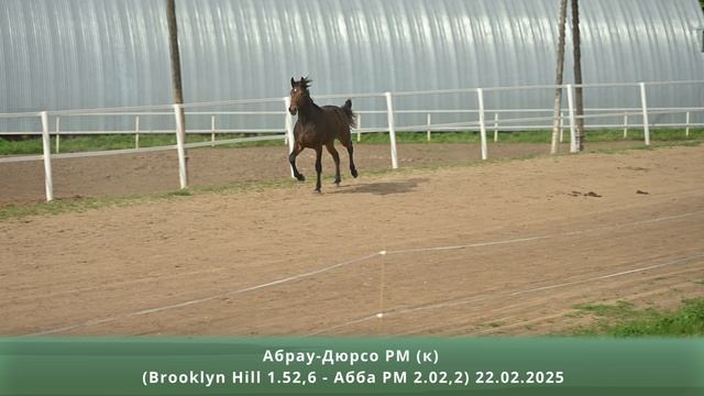 Абрау-Дюрсо РМ (к) (Brooklyn Hill 1.52,6 – Абба РМ 2.02,2) 22.02.2025 смотреть онлайн