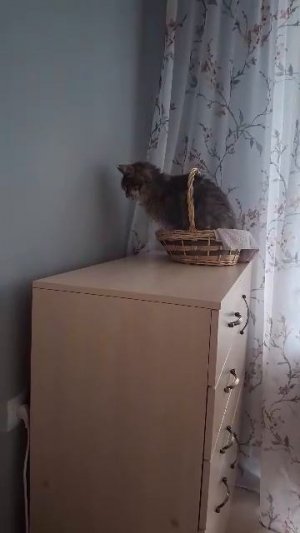Сонное царство!