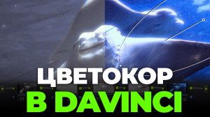 КИНО ≠ идеальная картинка. Мой способ сделать кадр живым с помощью цветокоррекции.