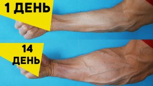 3 Лучших Упражнения Для Предплечий | Дома с Гантелями