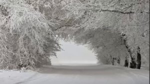 Под снегом белым, белым.     Любовь 💞  зима ❄⛄  песни о любви