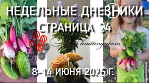 Недельные дневники. Собрали первый урожай. Открыли купальный сезон. Экскурсия на НПО Молния. Покупки